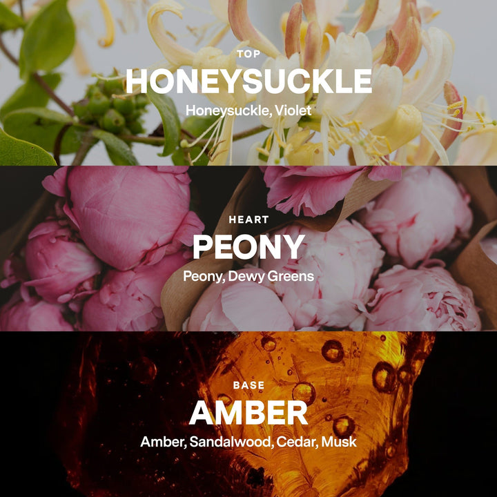 Honeysuckle, Peony, Amber Candle Refill