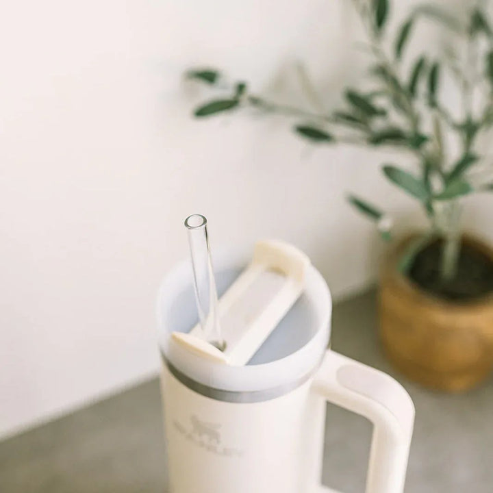 Simply Straws Tumbler 12" Glass Straw Set - Air