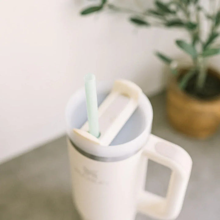 Simply Straws Tumbler 12" Glass Straw Set - Cote d'Azur