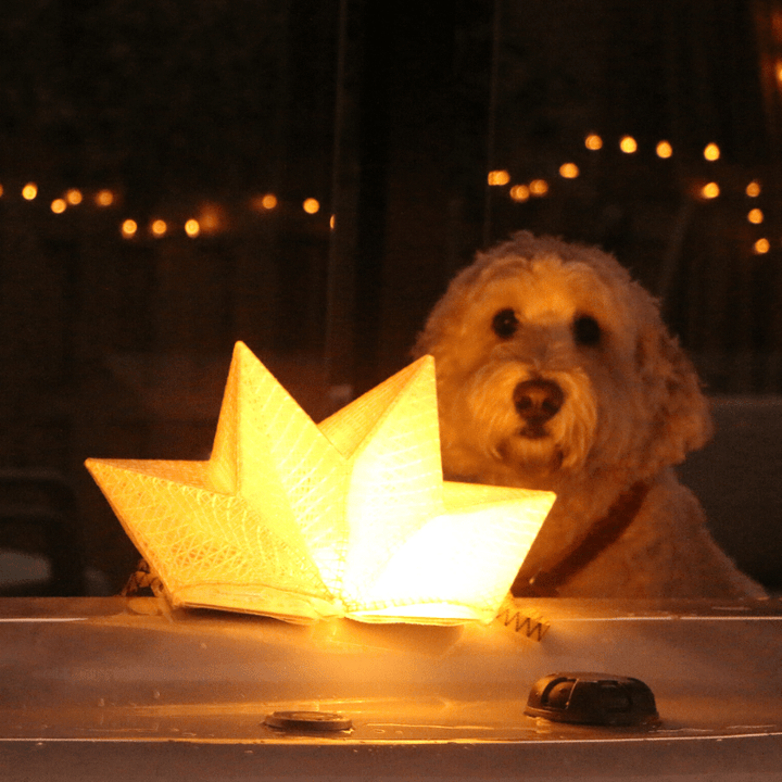 Solight Design Warm White QWNN™ – Solar Lantern and Phone Charging Power Bank