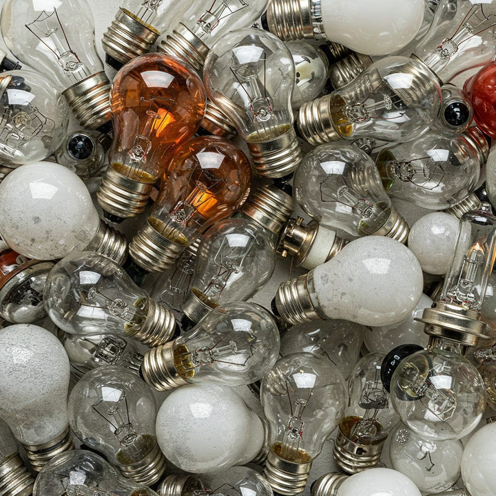 TerraCycle Incandescent Light Bulbs - TerraCycle Zero Waste Box