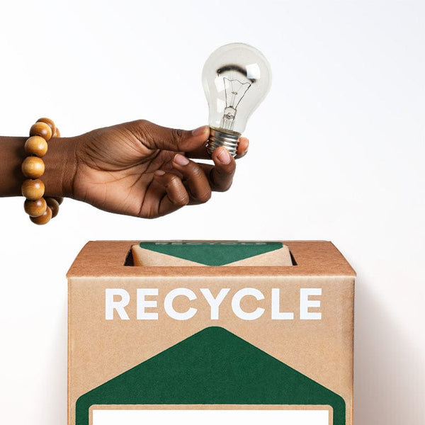 TerraCycle Incandescent Light Bulbs - Zero Waste Box