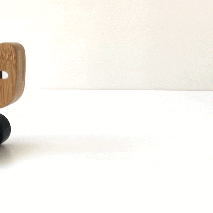 Wee Gallery, Inc. Bear Push Toy