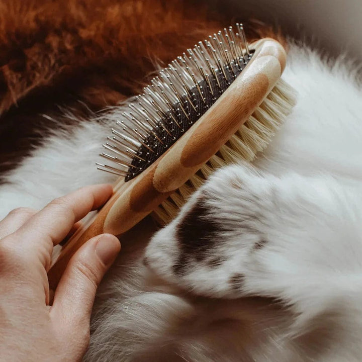 Zefiro Bamboo Dog Brush