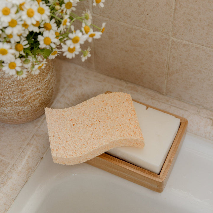 Zero waste sponge, Reusable Kitchen Sponge, Zero Waste, Choose Your Pr –  OakPo Paper Co.