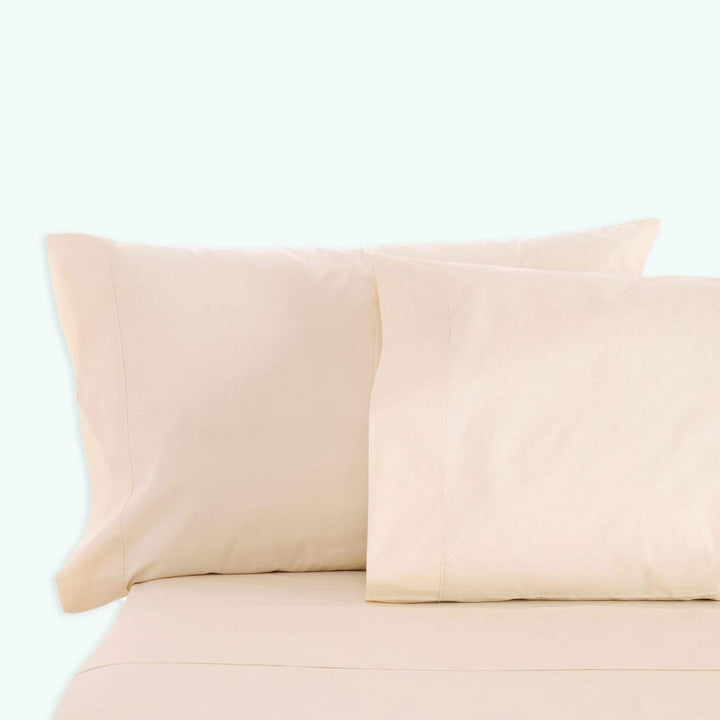 Sleep & Beyond Organic Cotton Sheet Set