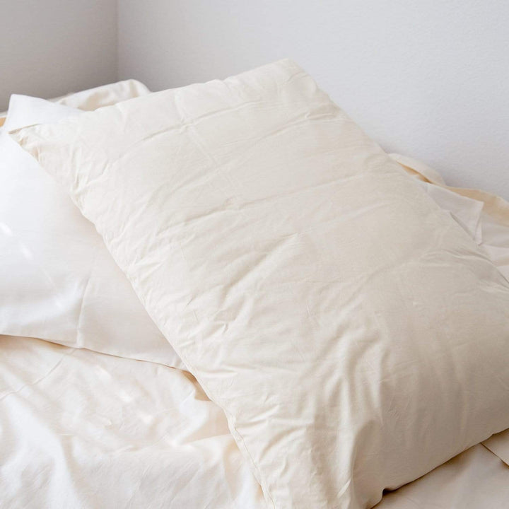 Sleep & Beyond Organic Wool Pillow