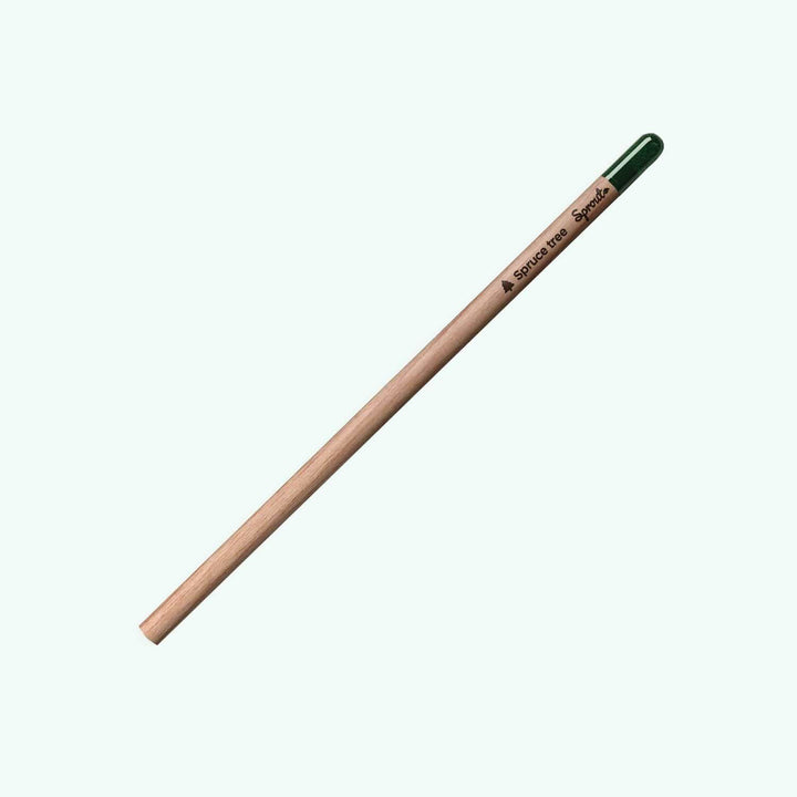 Sprout Spruce Tree Plantable Pencil