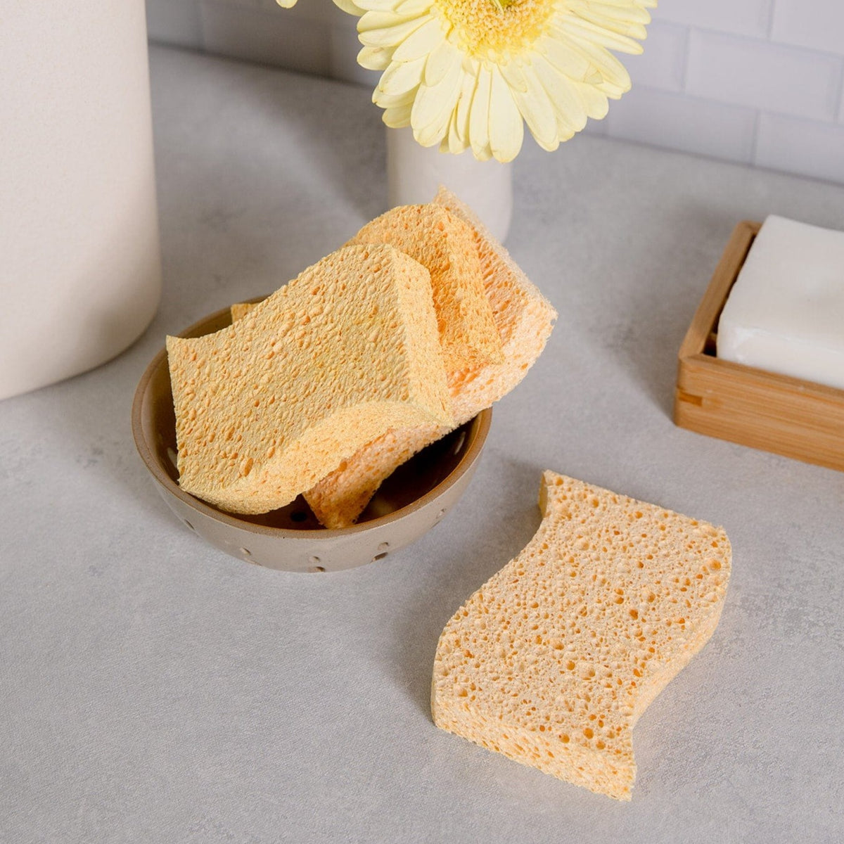 Biodegradable Kitchen Sponges Zero Waste Sponges, 100 Wood Pulp