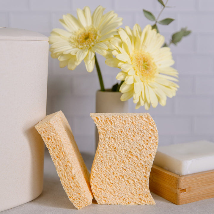 Baywell Natural Sponge 10 Pack - Eco Friendly Kitchen Sponge for  Sustainable Living